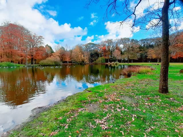 Julianen Park - Image 3