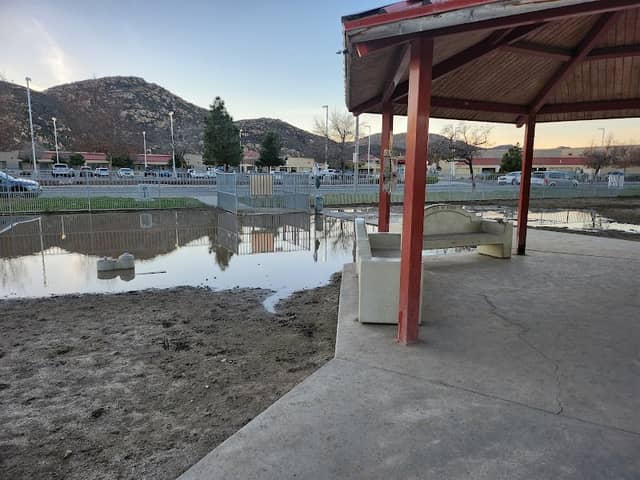 Dog Park - Image 1