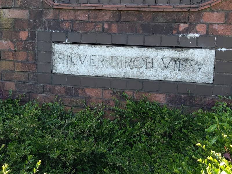 Silver Birch View - Image 2
