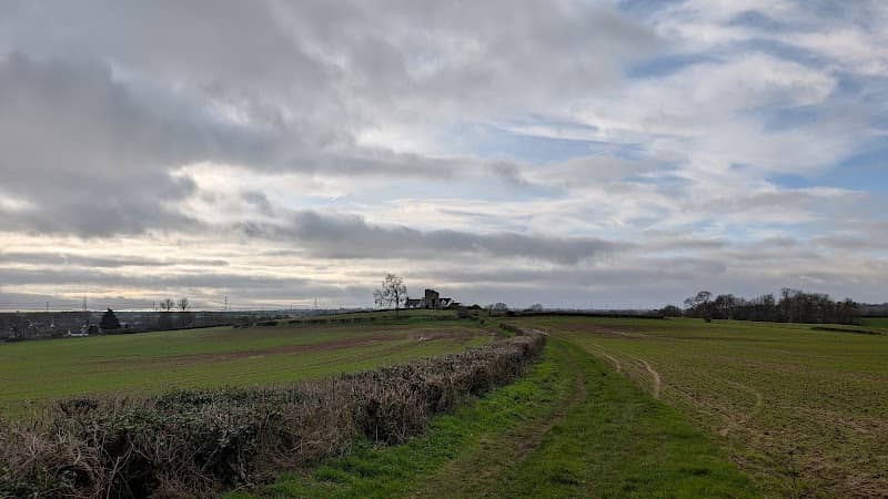 Rogiet Poorland - Gwent Wildlife Trust - Image 1
