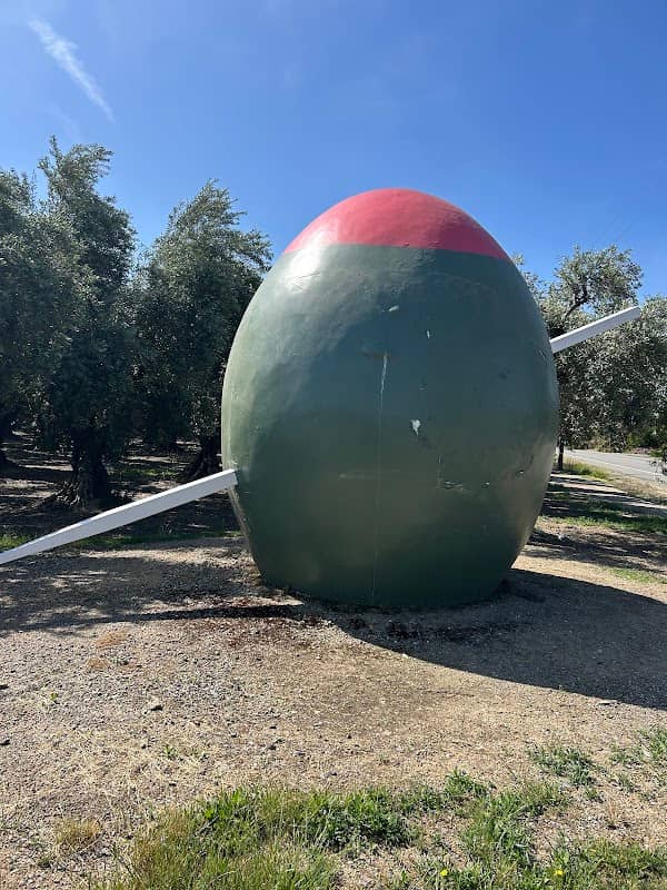 Giant Green Olive - Image 1