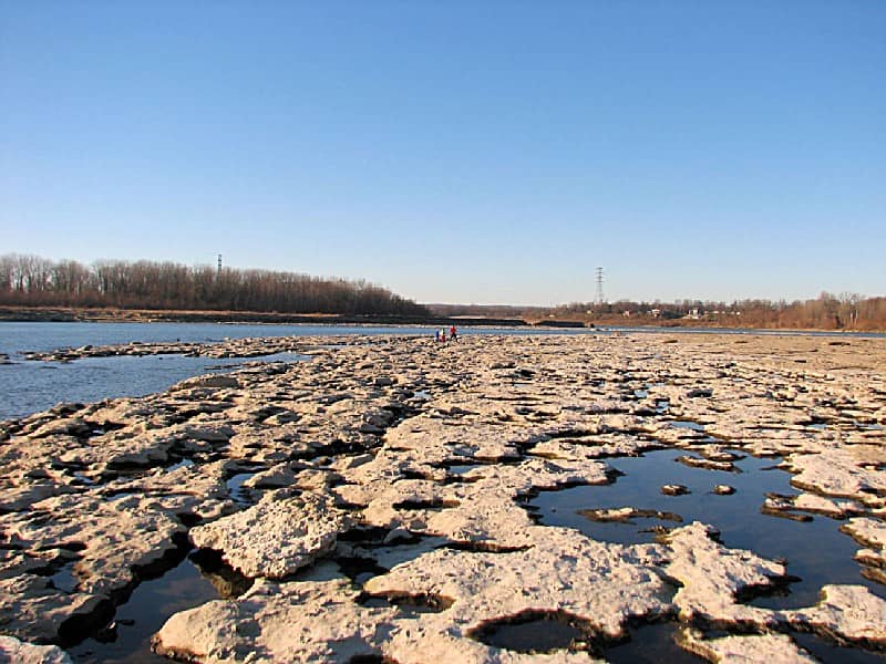 Falls of the Ohio State Park - Image 1