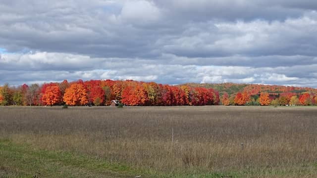 Boyne Mountain Viewing Area - Image 1