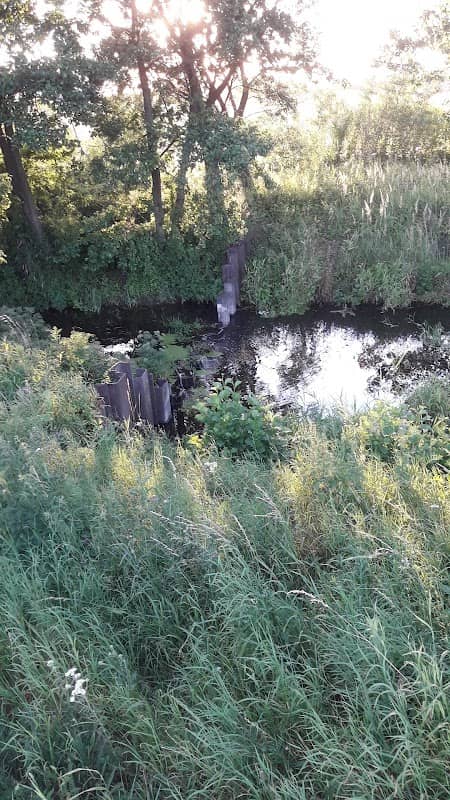 Tama Kopojno - Image 1
