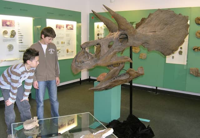 Urweltmuseum Aalen - Image 2