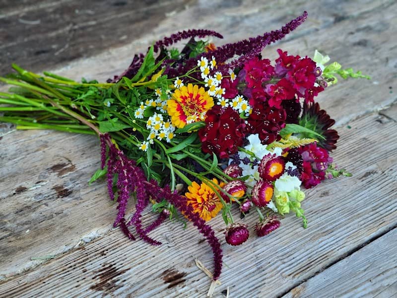 For the Love of Flowers Farm - Image 1