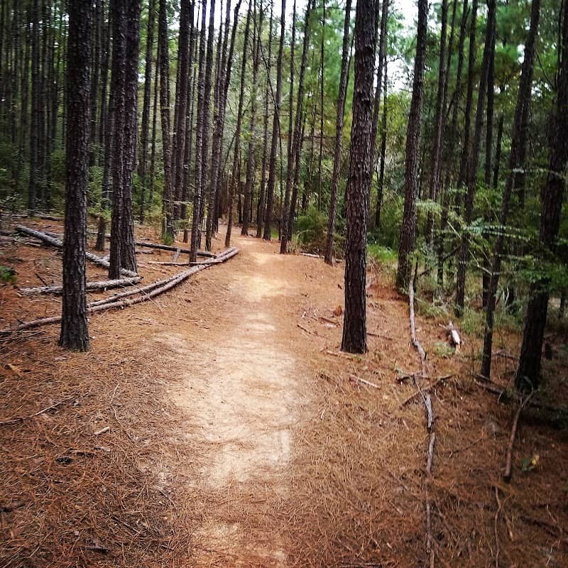 Beaver Creek Trails - Image 1