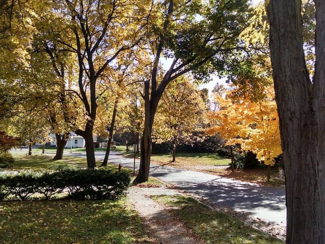Ehinger Park - Image 3