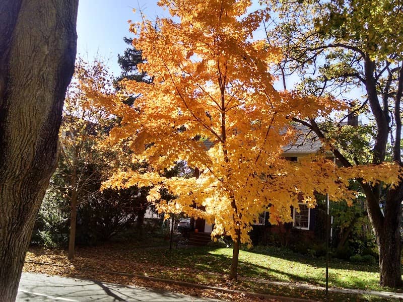 Ehinger Park - Image 1