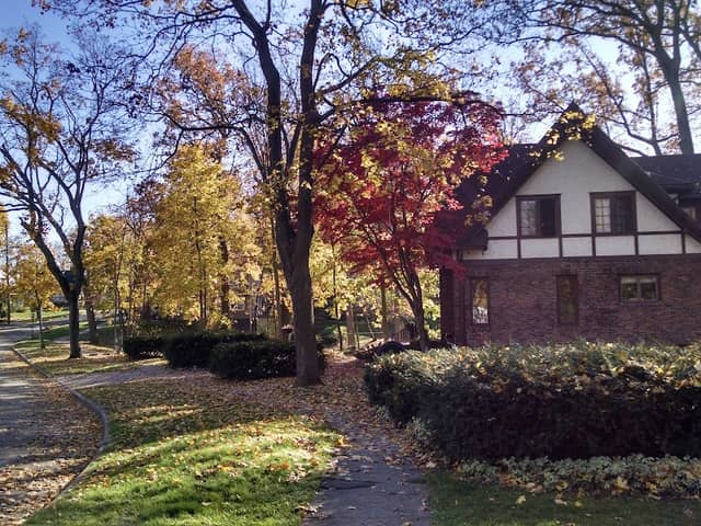 Ehinger Park - Image 2