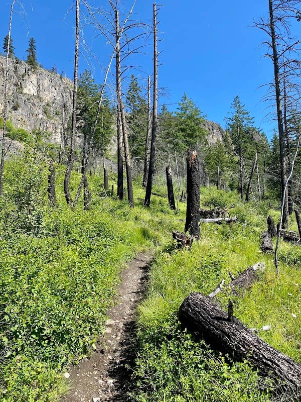Rose Valley Regional Park - Image 2
