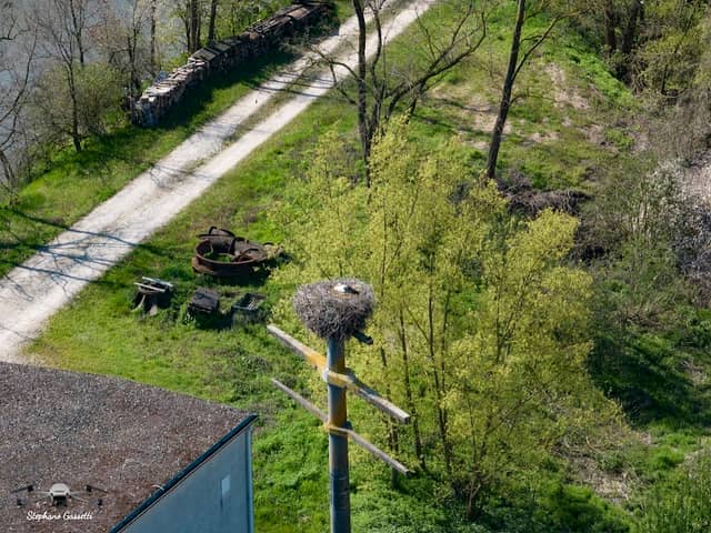 Storchennest Nr.2 - Image 1