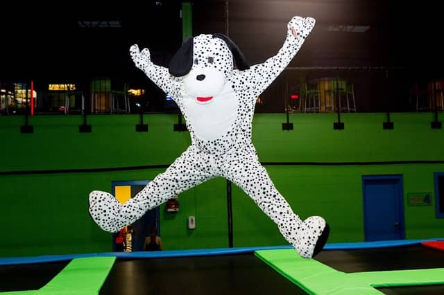 Jumpz Trampoline Sports Danbury (Formerly Bounce Danbury) - Image 1