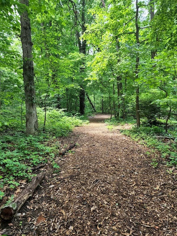 Haddon Heights Park - Image 1