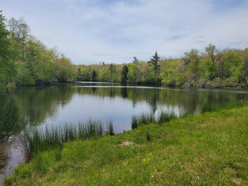 Trail Head for Lake Alice Trail & Dam - Image 1
