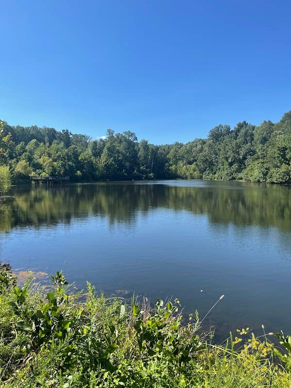 Ivy Creek Park - Image 3