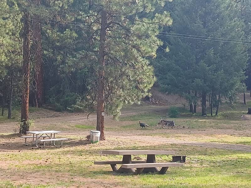 Shelton Wayside Park - Image 3