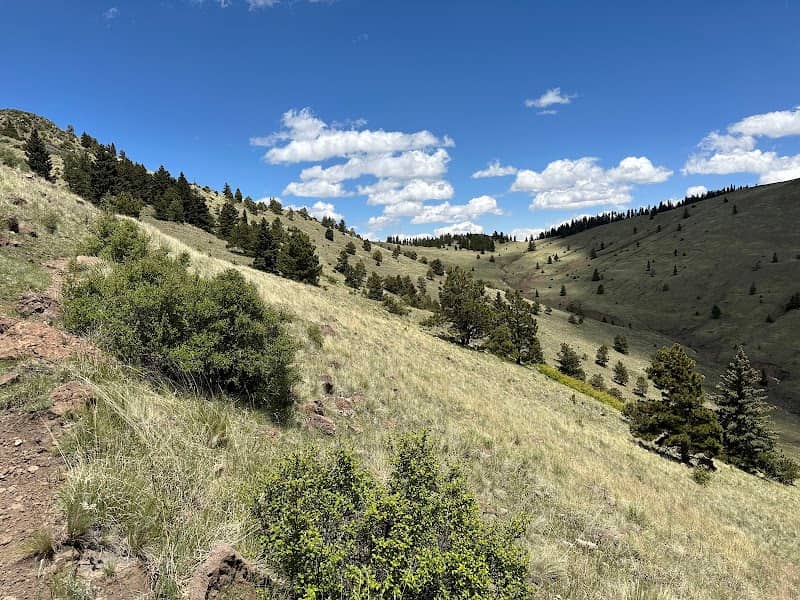 Gooseberry Springs Trail - Image 2