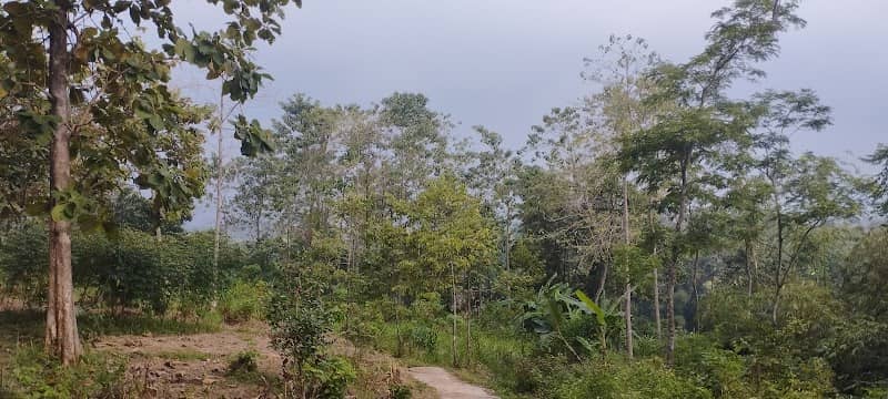 Saung Lamping - Image 1