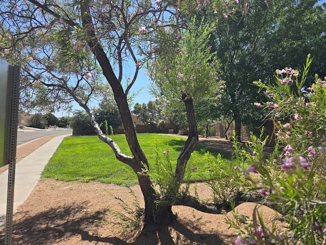Sabana Heights Park - Image 1