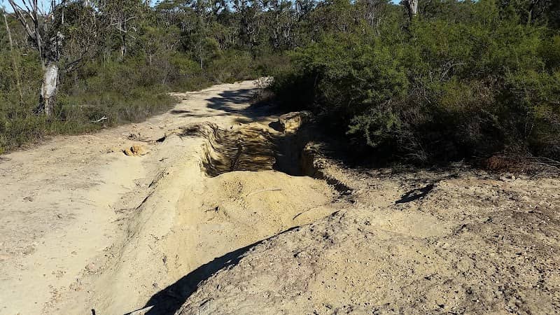 Colymea State Conservation Area - Image 1