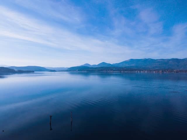 The Long Bridge - Image 2