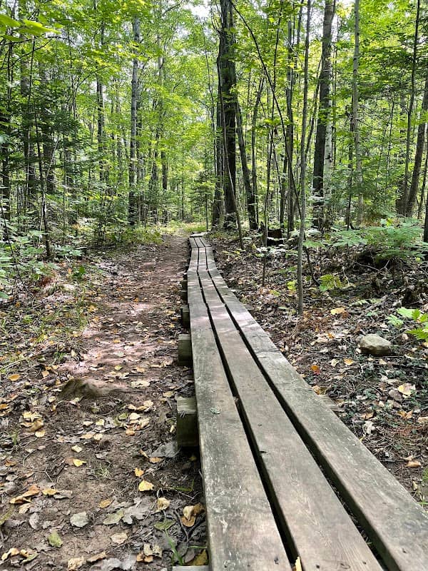 Big Ravine - West Rim Trail - Image 2
