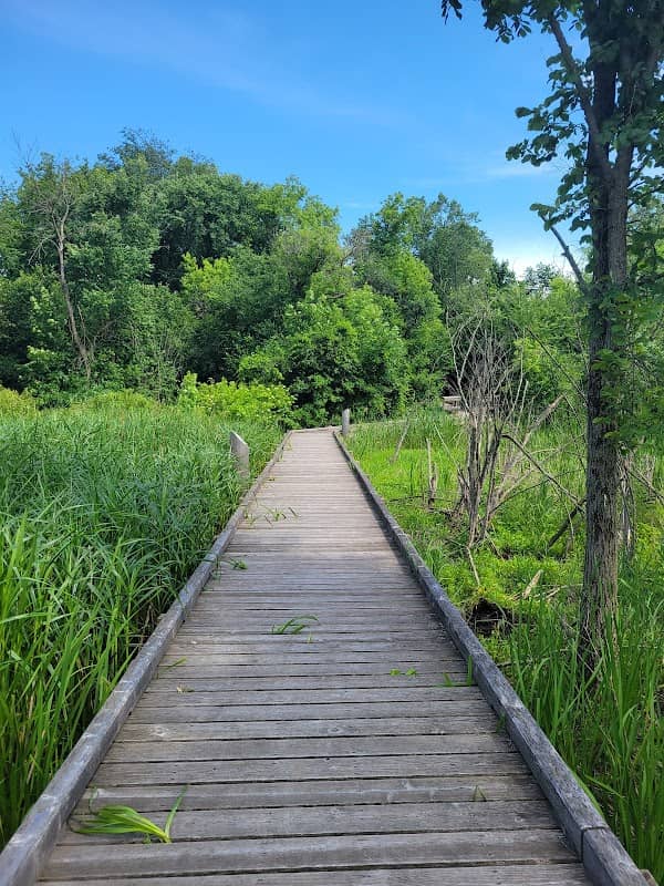 Ray Franzen Bird Sanctuary - Image 1