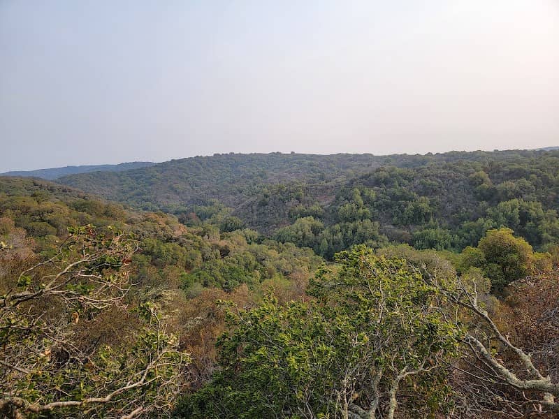 Madera Point - Image 1