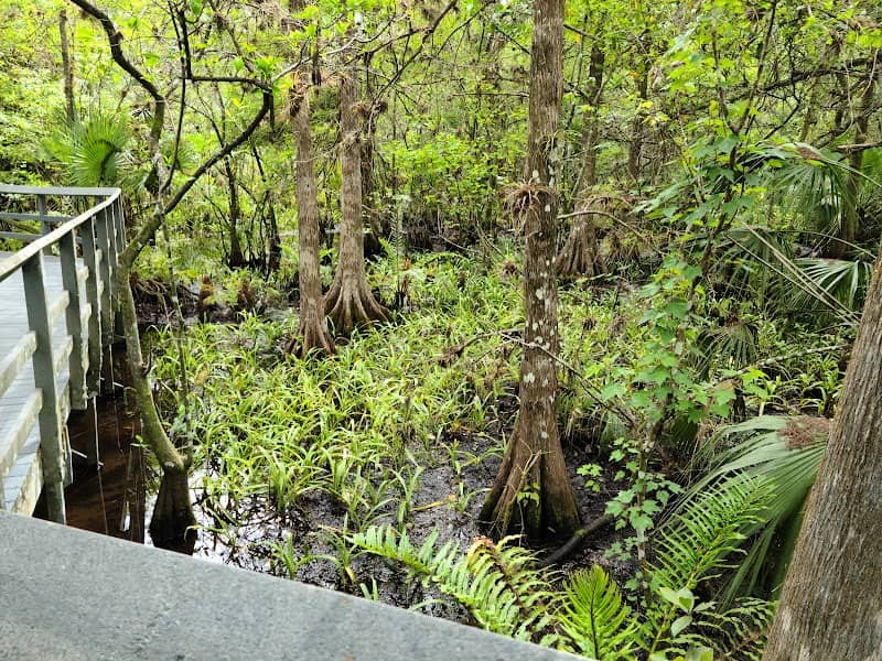 Fern Forest Nature Center - Image 3