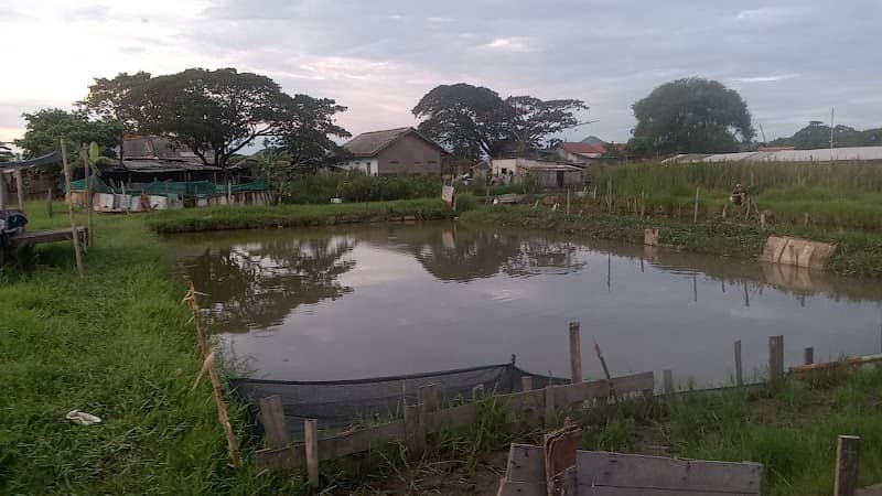 EMPANG BANG JUAN - Image 1