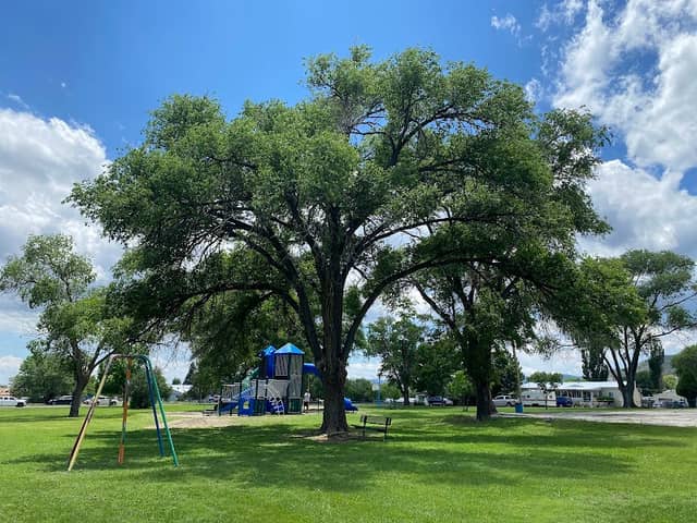 Romero Park - Image 2