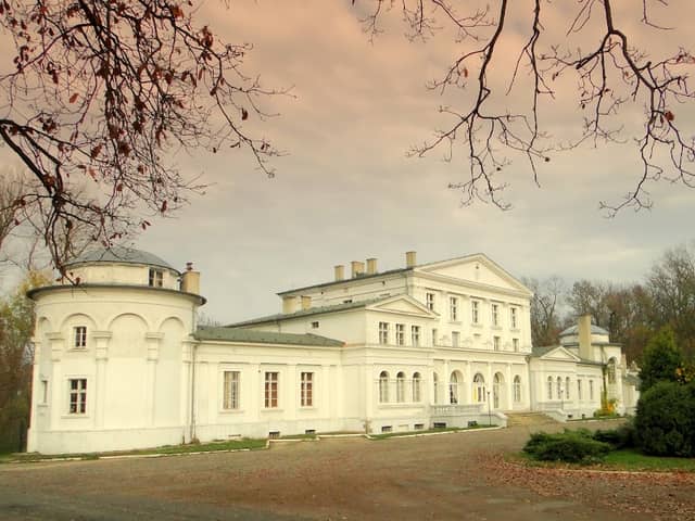 Pałac Mielżyńskich w Iwnie - Image 1