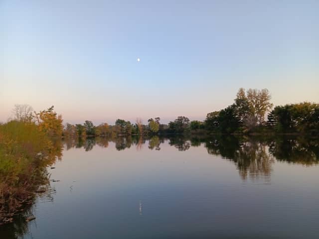 Hankens Wildlife Area - Image 1