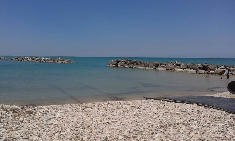 Spiaggia libera per cani - Image 1