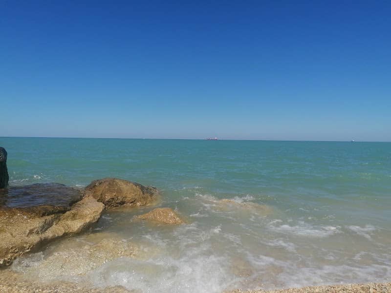 Spiaggia libera per cani - Image 2
