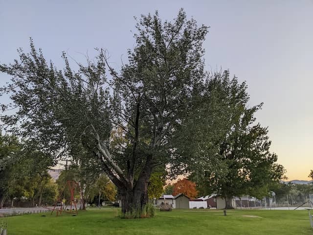Malott Park - Image 2