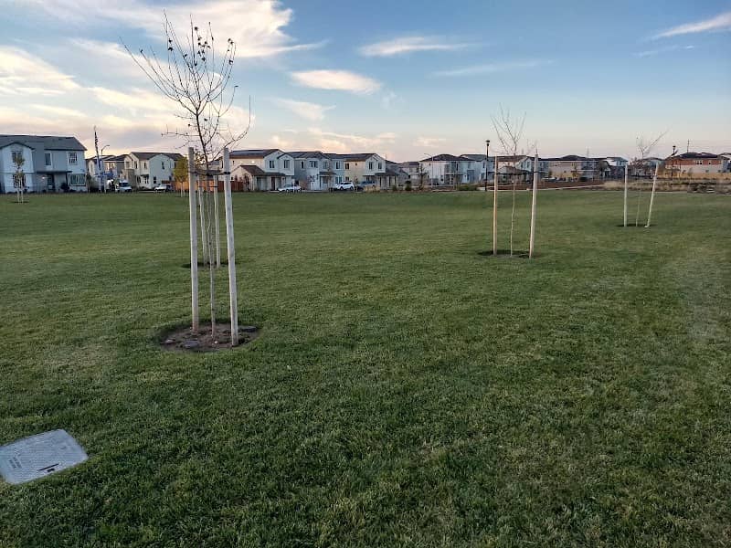 Labyrinth Community Park - Image 2