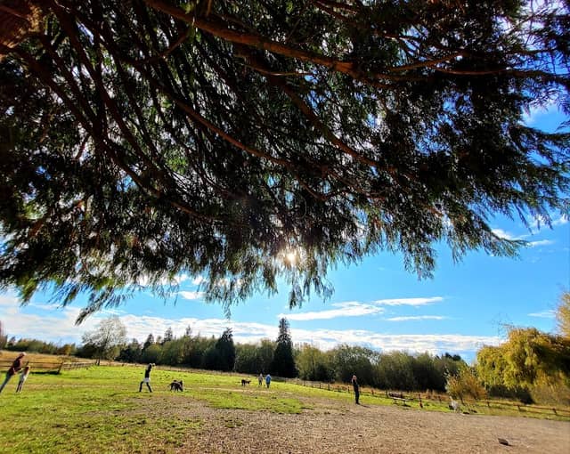 Cavalero Hill Park - Image 2