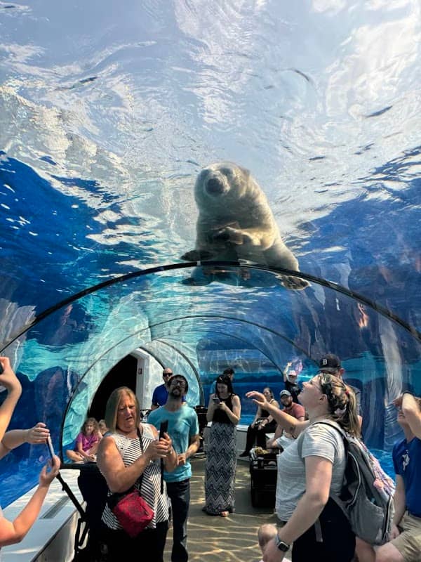 Detroit Zoo - Image 1
