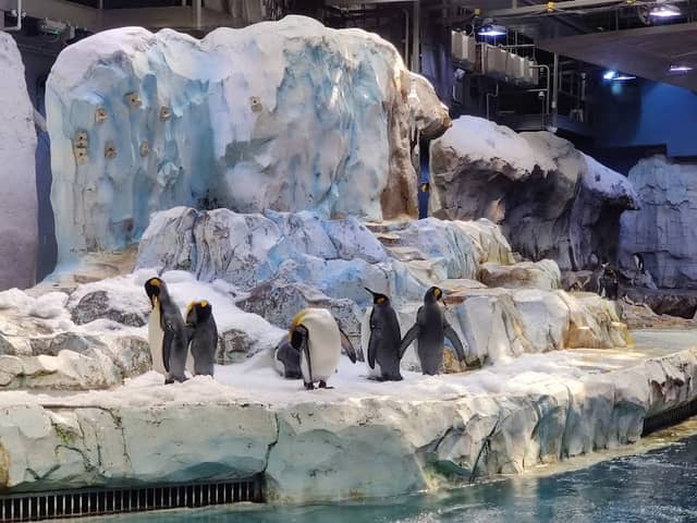 Detroit Zoo - Image 3