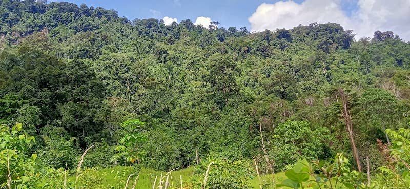 Bukit Lohot - Image 1