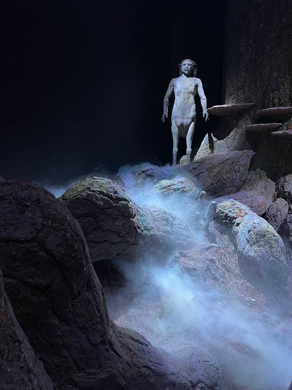 Forbidden Forest - Image 2