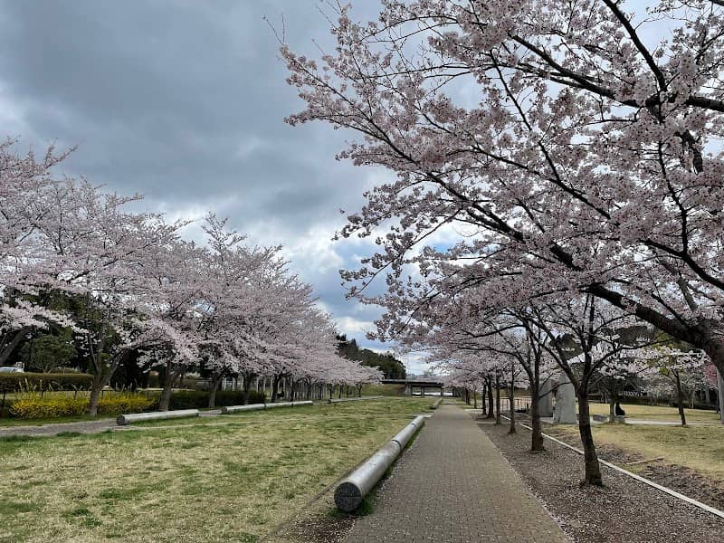 Hitachino Sakura Park - Image 1