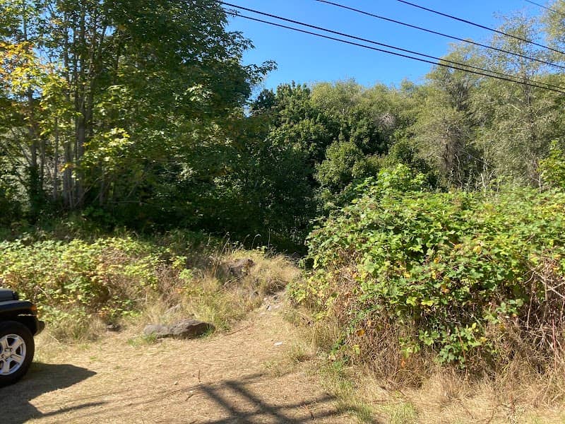 Quilcene River Park East - Image 2