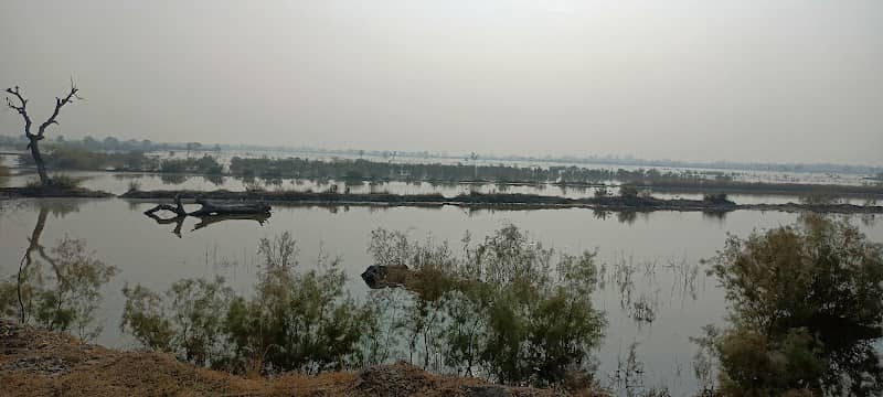 Rajasthan-UP border gate konthara - Image 2