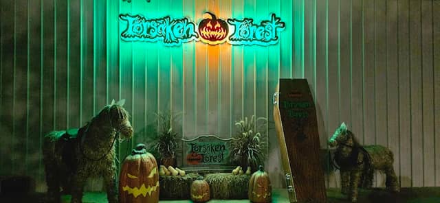 Forsaken forest - Image 1