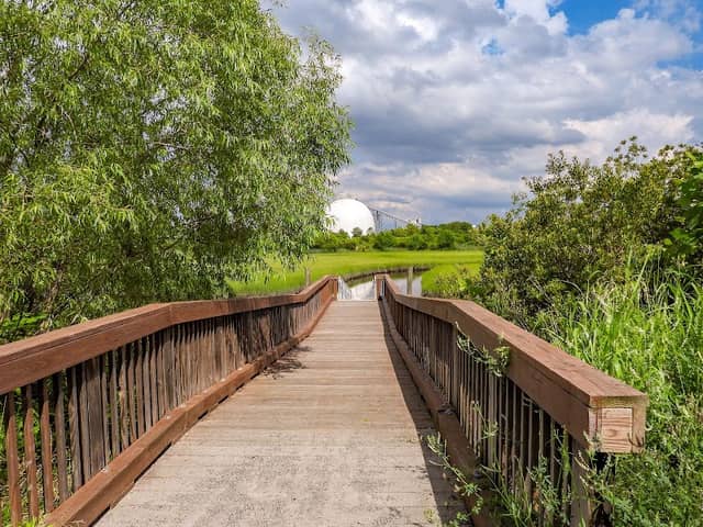 Paradise Creek - Image 2
