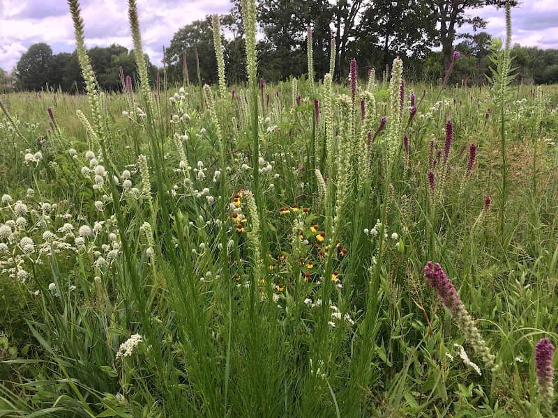 Searles Prairie Natural Area - Image 2