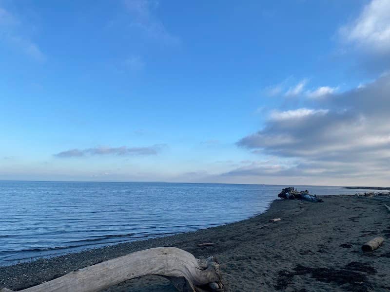 Boundary Bay Regional Park - Image 3